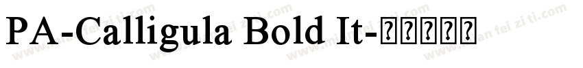 PA-Calligula Bold It字体转换
